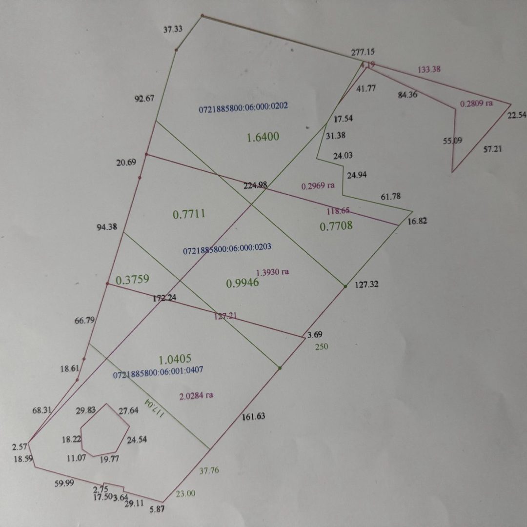photo_5197517075566950134_y