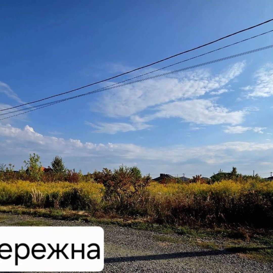 photo_5334514987437258629_y