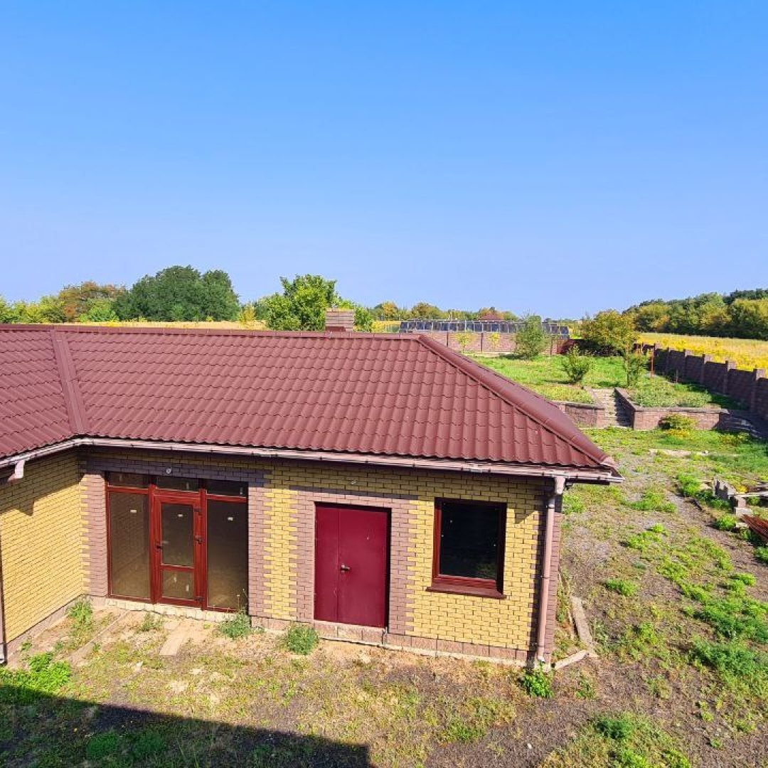 photo_5368302365578485380_y