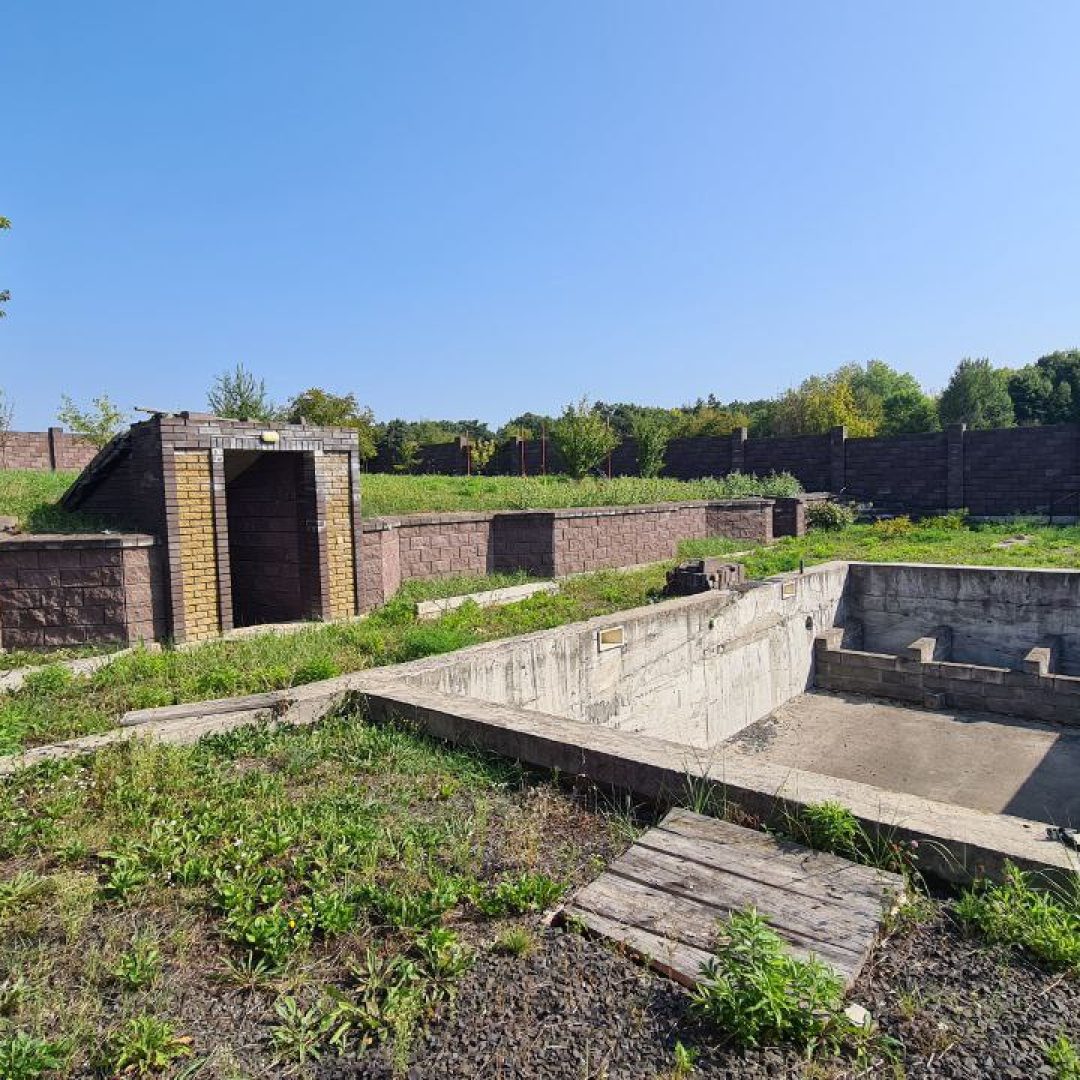 photo_5368302365578485385_y