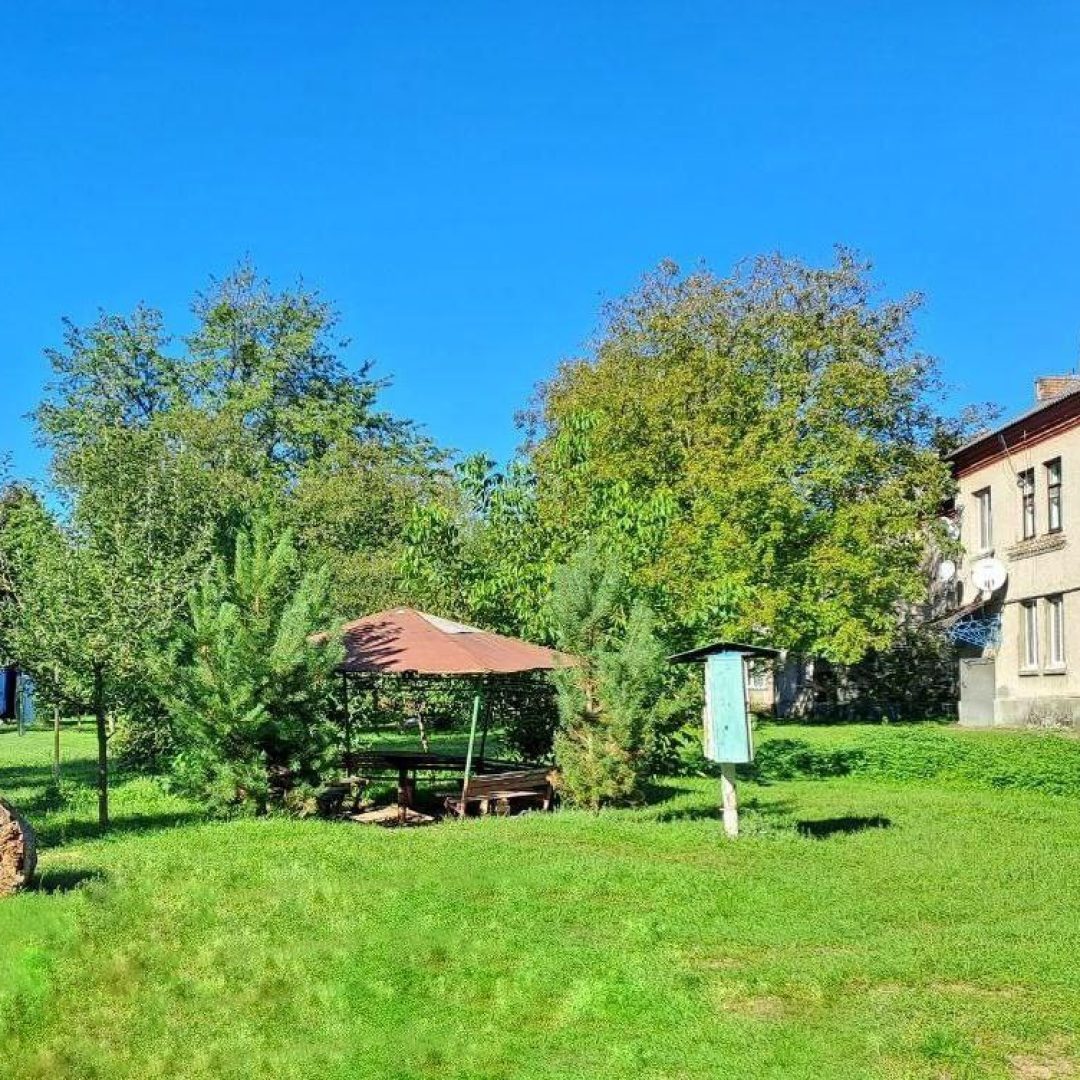 photo_5381878396423895598_y