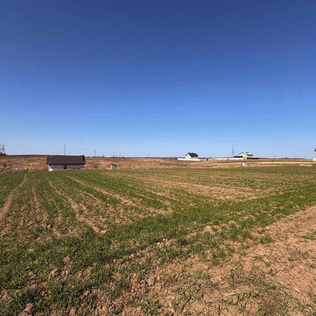 photo_5381997500165724693_y