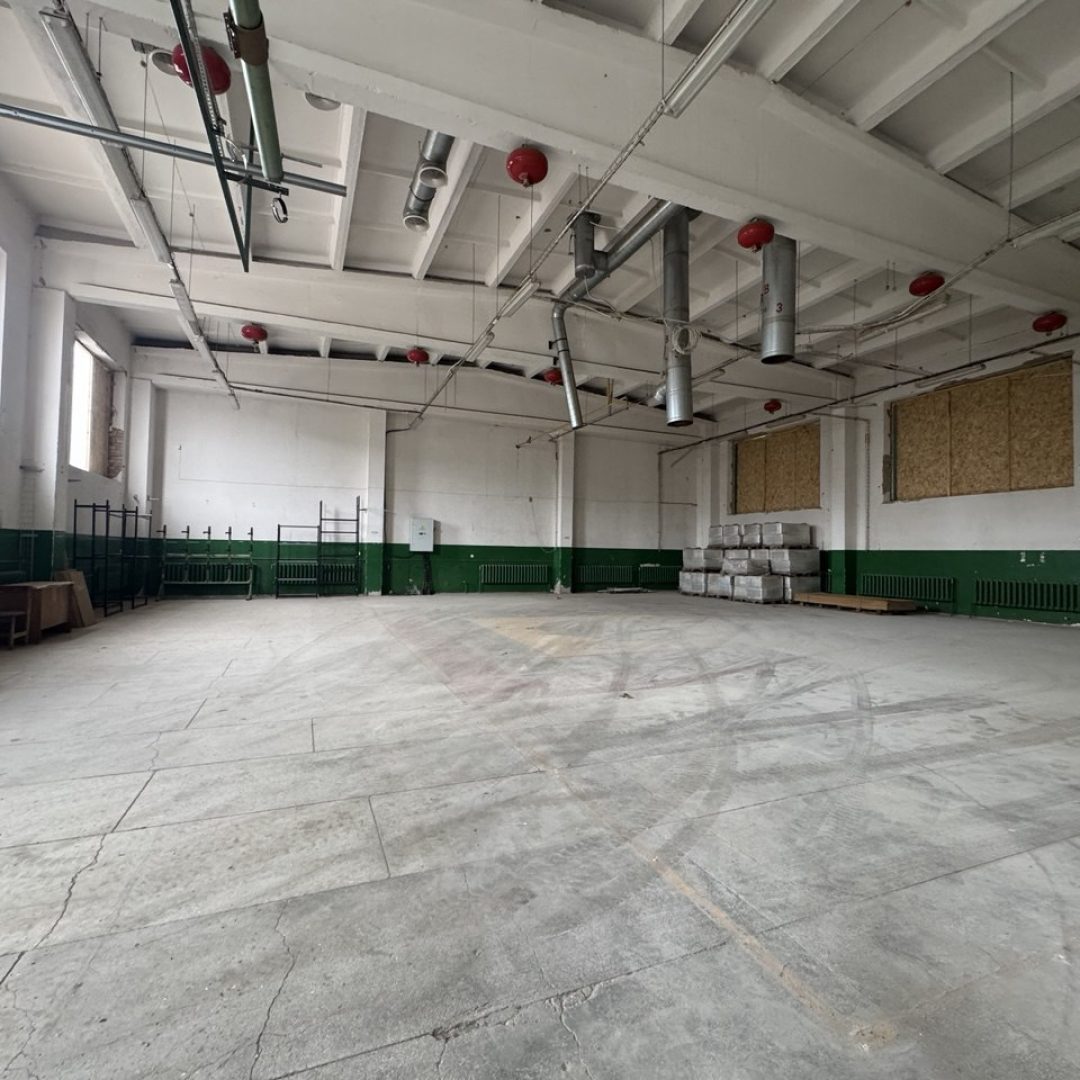 photo_5413359652008824906_y