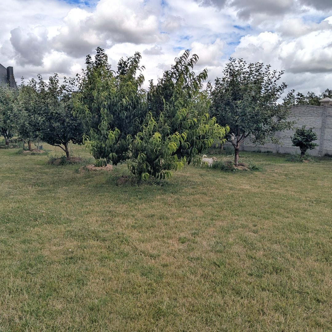 PXL_20260709_110926430